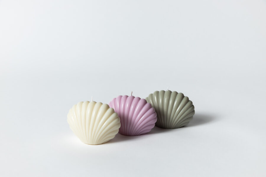 Sojas vaska svece "Gliemežnīca''